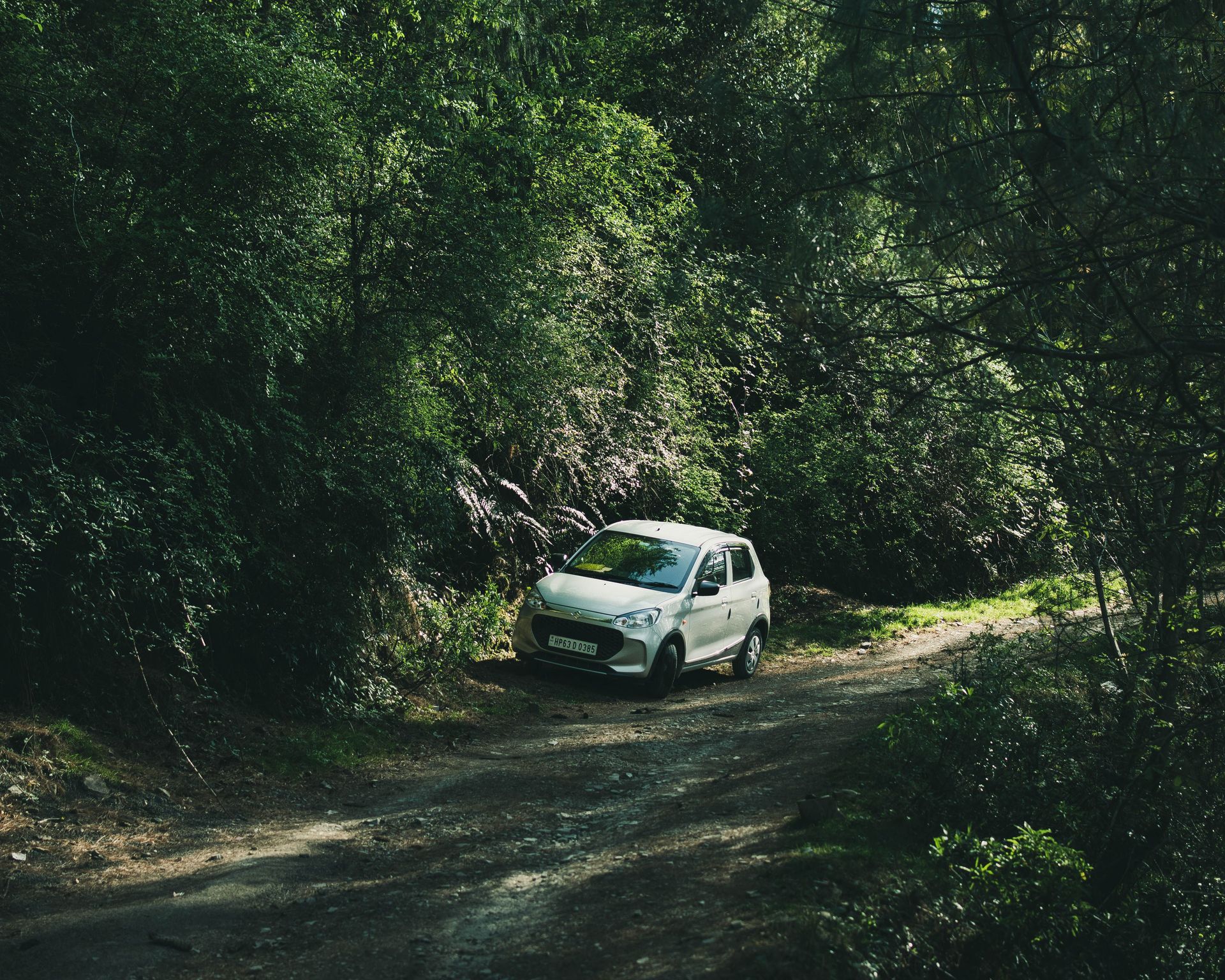 White car parked on a scenic forest dirt road surrounded by lush green trees.